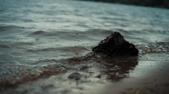 F9FF5143-562C-41F6-B534-8B23628DB951