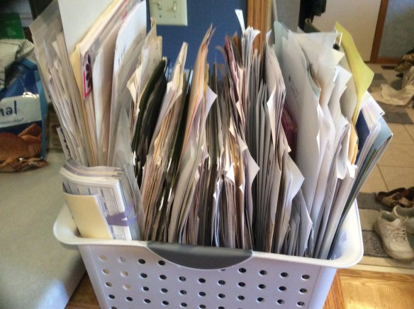 C9309AAB-D155-4DA3-9081-22D517CE955E