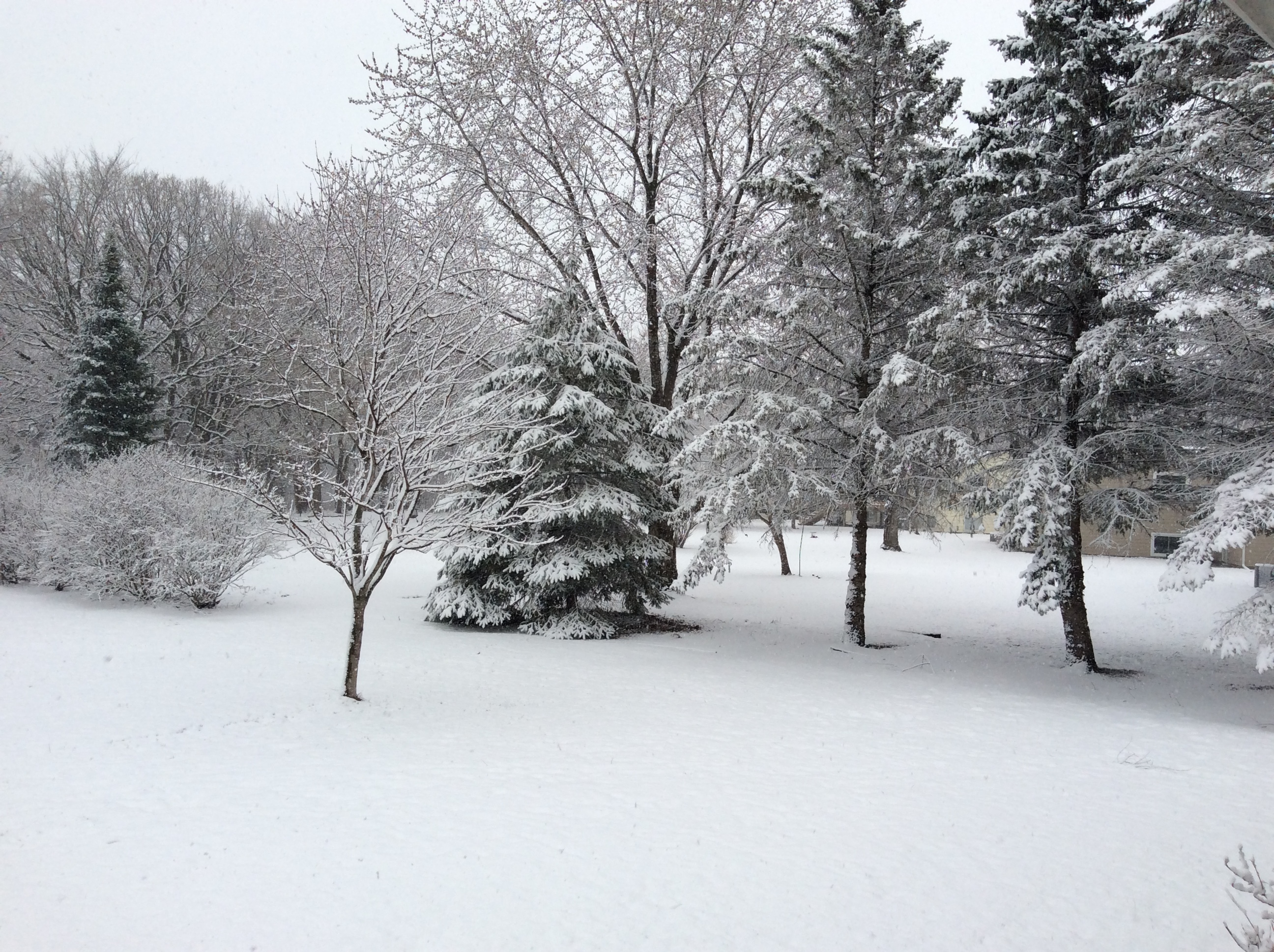 B614132A-550E-40CE-8F1E-91C62F205B76