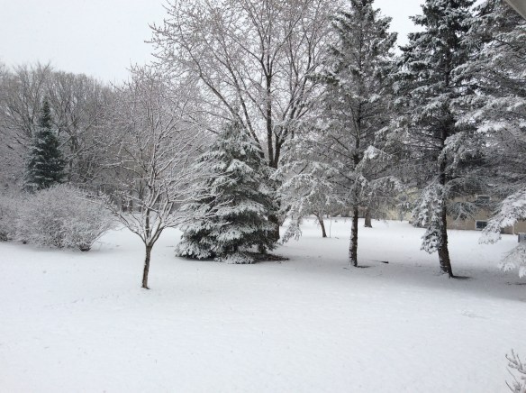 B614132A-550E-40CE-8F1E-91C62F205B76