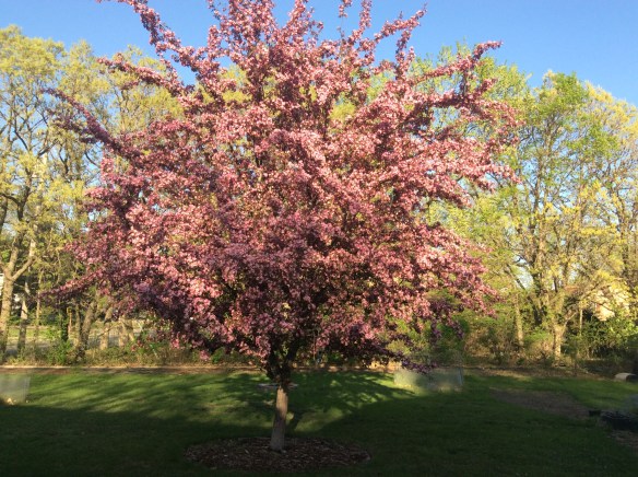 F0F18C9C-CC38-44BA-891A-CB5AEC73BE6B