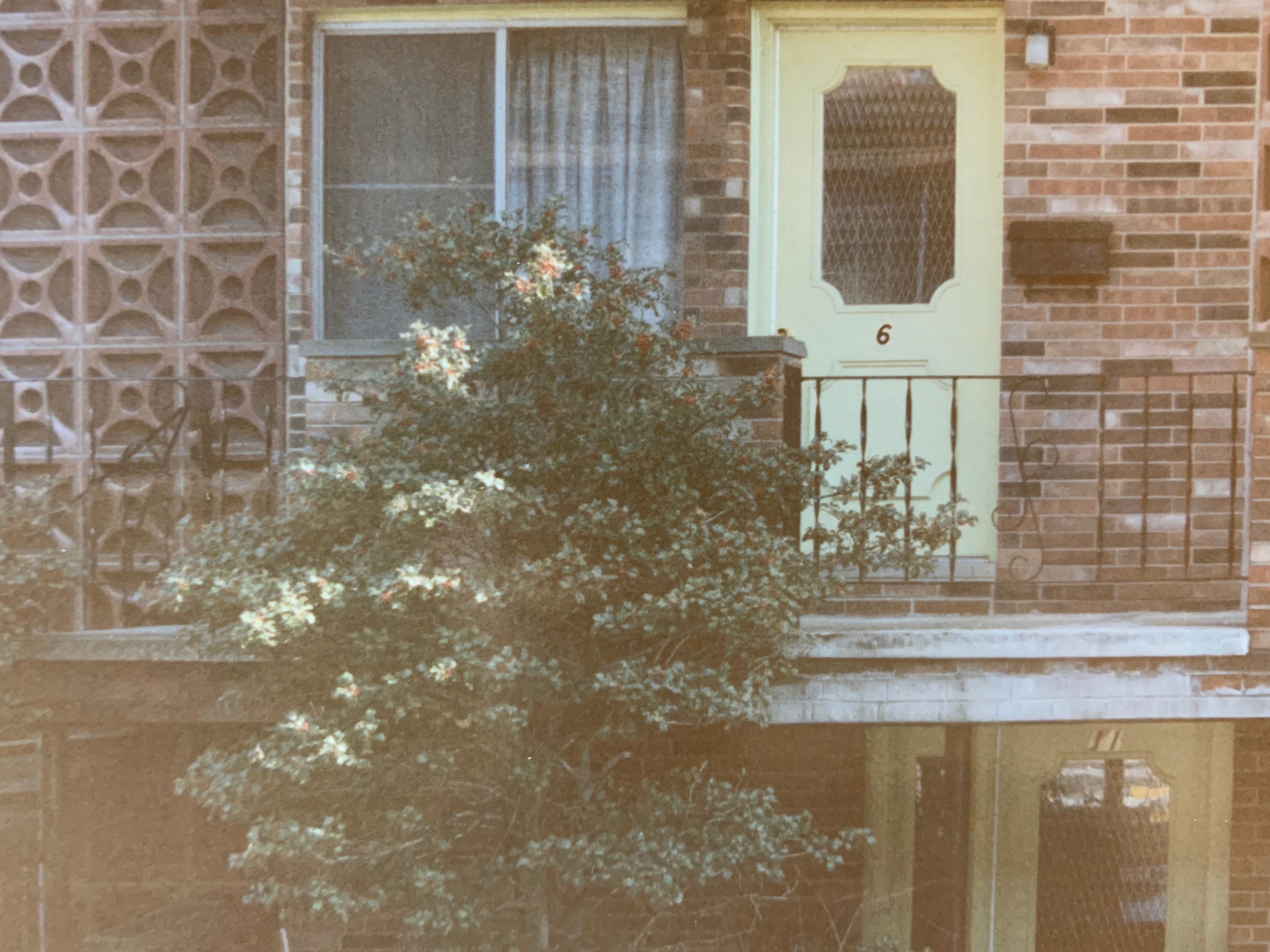 B40EF3BD-E925-4EA9-98E6-7B457A20A6C3